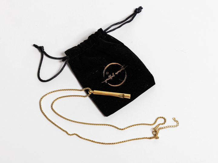 Gold or Silver Whistle Necklace