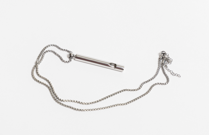 Gold or Silver Whistle Necklace