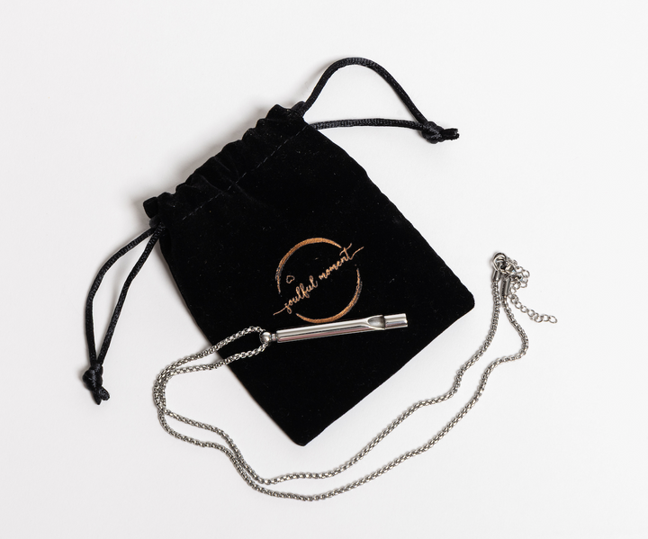 Gold or Silver Whistle Necklace